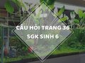 Câu hỏi thảo luận trang 36 SGK Sinh 6