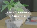 Câu hỏi thảo luận trang 38 SGK Sinh 6