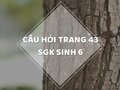 Câu hỏi thảo luận trang 43 SGK Sinh 6