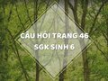 Câu hỏi thảo luận trang 46 SGK Sinh 6