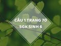 Câu 1 trang 70 SGK Sinh học 6