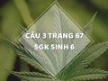 Câu 3 trang 67 SGK Sinh học 6
