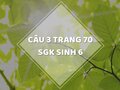 Câu 3 trang 70 SGK Sinh học 6