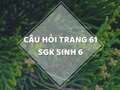 Câu hỏi trang 61 SGK Sinh 6