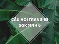 Câu hỏi thảo luận trang 63 SGK Sinh 6