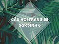 Câu hỏi thảo luận trang 65 SGK Sinh 6