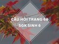 Câu hỏi thảo luận trang 66 SGK Sinh 6