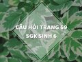 Câu hỏi thảo luận trang 69 SGK Sinh 6