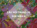 Câu hỏi thảo luận trang 70 SGK Sinh 6
