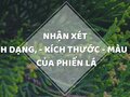 Câu hỏi: Quan sát các lá có trong H.19.2 nhận xét hình dạng, kích thước, màu sắc của phiến lá