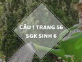 Câu 1 trang 56 SGK Sinh học 6