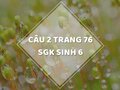 Câu 2 trang 76 SGK Sinh học 6