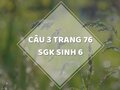 Câu 3 trang 76 SGK Sinh học 6