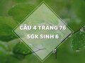 Câu 4 trang 76 SGK Sinh học 6