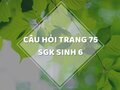 Câu hỏi thảo luận trang 75 SGK Sinh 6