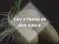 Câu 3 trang 88 SGK Sinh học 6