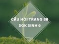 Câu hỏi thảo luận trang 88 SGK Sinh 6