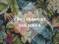 Câu 1 trang 82 SGK Sinh học 6