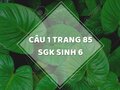 Câu 1 trang 85 SGK Sinh học 6