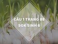 Câu 1 trang 88 SGK Sinh học 6