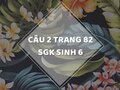 Câu 2 trang 82 SGK Sinh học 6