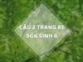 Câu 2 trang 85 SGK Sinh học 6