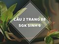 Câu 2 trang 88 SGK Sinh học 6