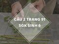 Câu 2 trang 91 SGK Sinh học 6