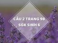Câu 2 trang 98 SGK Sinh học 6