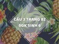 Câu 3 trang 82 SGK Sinh học 6