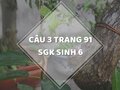 Câu 3 trang 91 SGK Sinh học 6