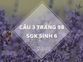 Câu 3 trang 98 SGK Sinh học 6