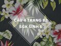 Câu 4 trang 82 SGK Sinh học 6