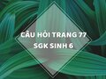 Câu hỏi thảo luận trang 77 SGK Sinh 6