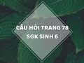 Câu hỏi thảo luận trang 78 SGK Sinh 6