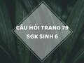 Câu hỏi thảo luận trang 79 SGK Sinh 6