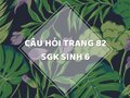 Câu hỏi thảo luận trang 82 SGK Sinh 6