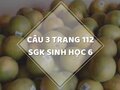 Câu 3 trang 112 SGK Sinh học 6