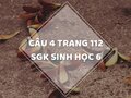 Câu 4 trang 112 SGK Sinh học 6