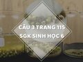 Câu 3 trang 115 SGK Sinh học 6