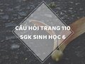 Câu hỏi thảo luận trang 110 SGK Sinh 6