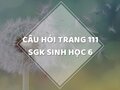 Câu hỏi thảo luận trang 111 SGK Sinh 6