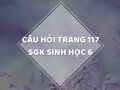 Câu hỏi thảo luận trang 117 SGK Sinh 6