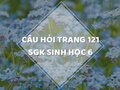 Câu hỏi thảo luận trang 121 SGK Sinh 6