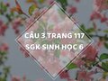 Câu 3 trang 117 SGK Sinh học 6