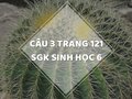 Câu 3 trang 121 SGK Sinh học 6