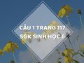 Câu 1 trang 117 SGK Sinh học 6