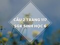 Câu 2 trang 117 SGK Sinh học 6
