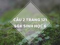 Câu 2 trang 121 SGK Sinh học 6