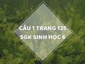Câu 1 trang 125 SGK Sinh học 6